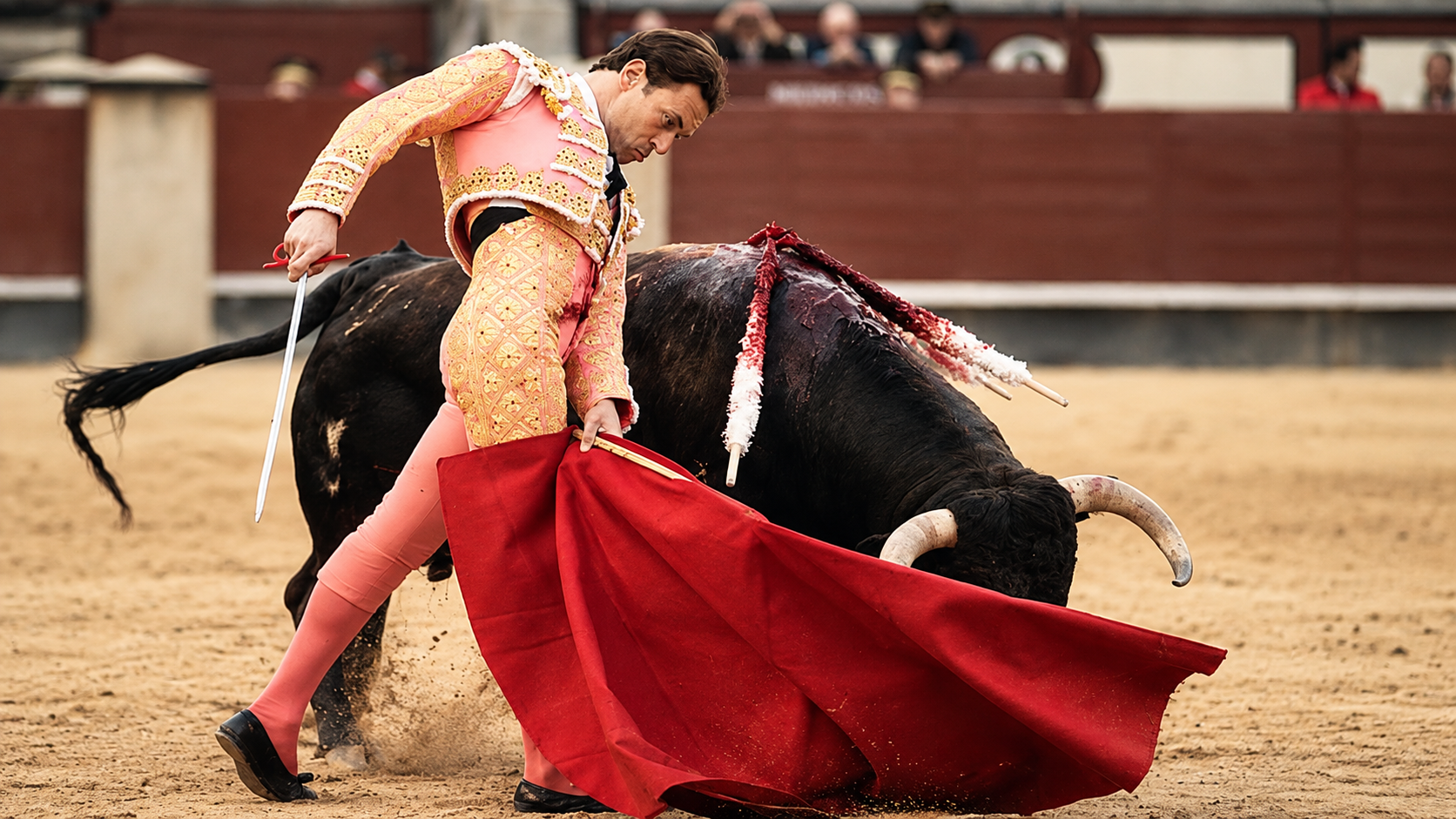 Fernando Cepeda toreando con la muleta ante el toro