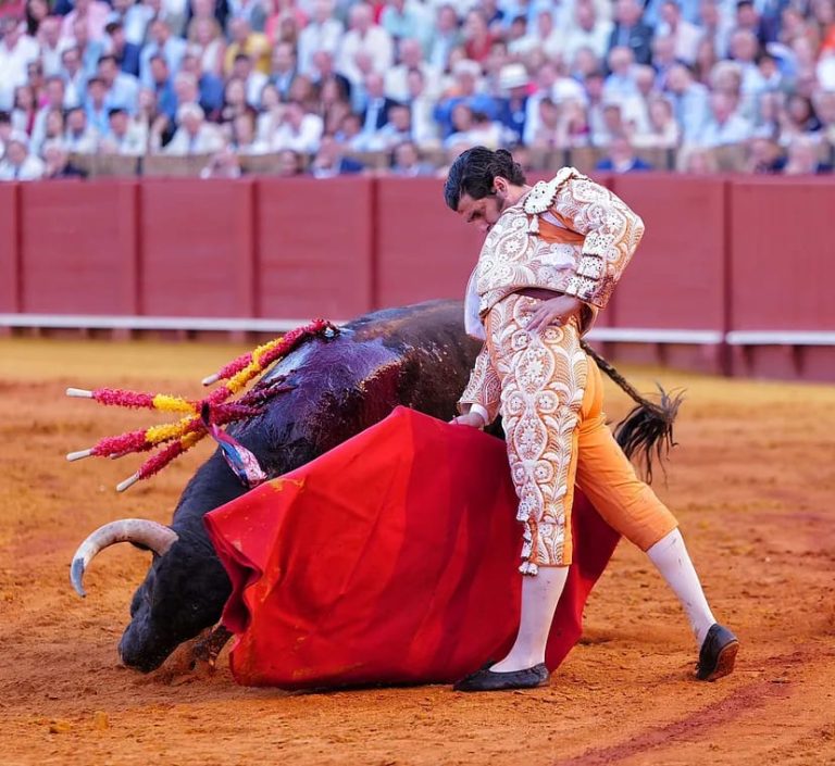Morante en Valladolid: calidad ante un lote sin fondo