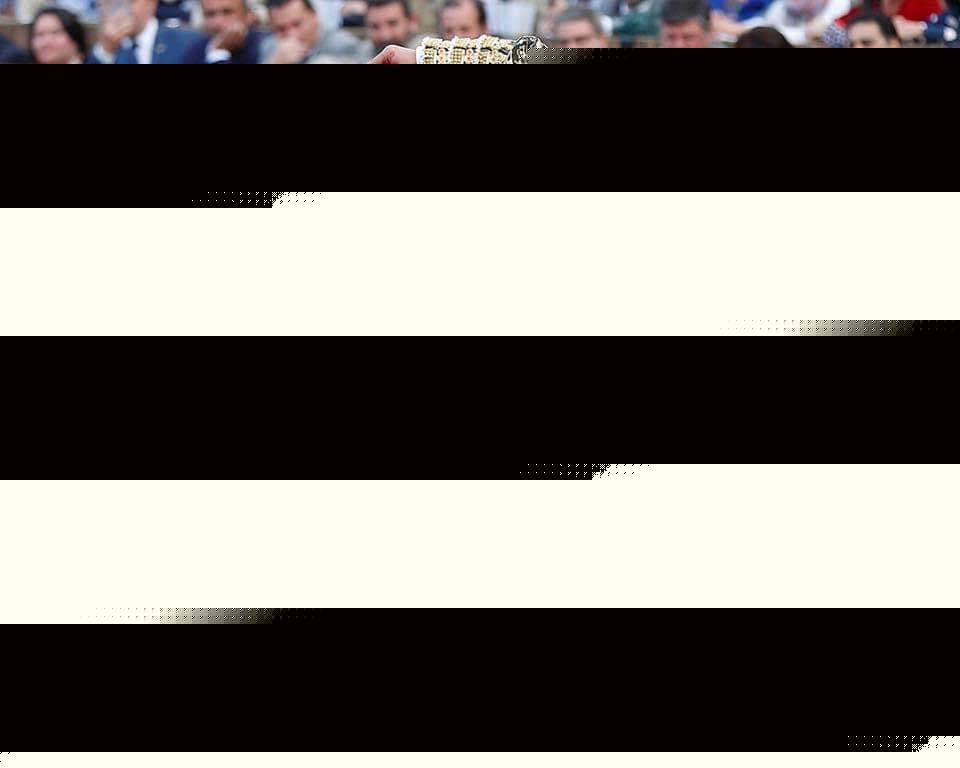 El lenguaje del toreo: términos que todo aficionado debe conocer