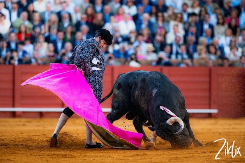 Verónica con el capote en una faena taurina