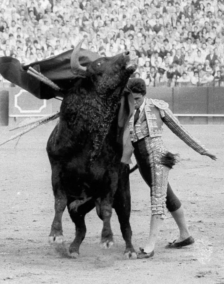 Aficionados siguiendo una corrida de toros