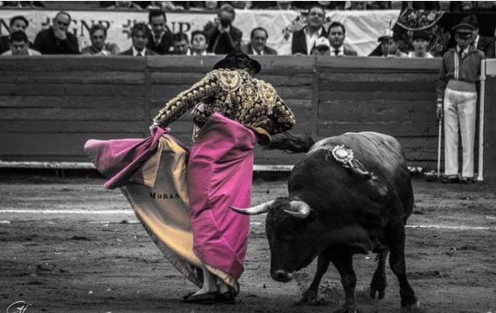 La tradición y la cultura del toreo