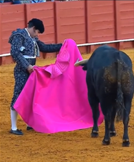 Morante de la Puebla en la Maestranza de Sevilla