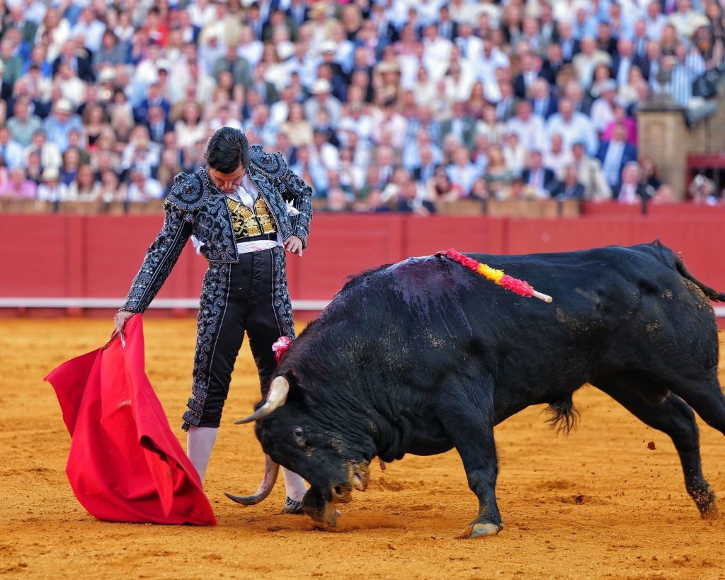 Morante de la Puebla en Sevilla con traje de Justo Algaba